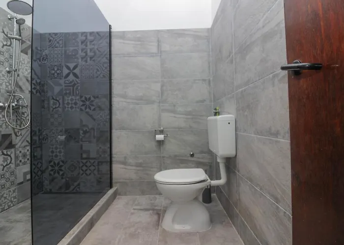 Miletic * زادار